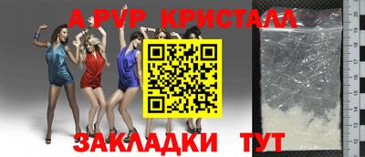 индика Надым