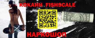 индика Надым