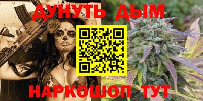 индика Надым