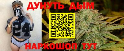индика Надым