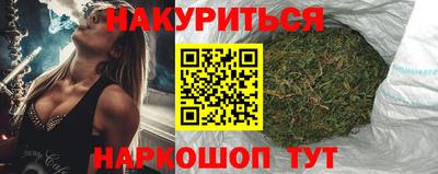 индика Надым