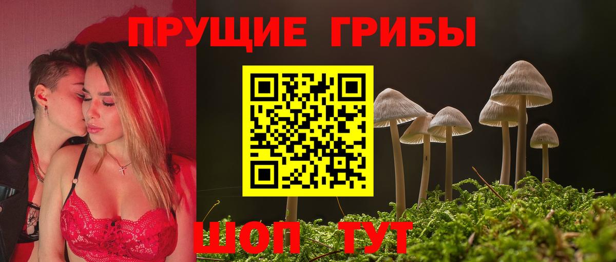 Псилоцибиновые грибы Psilocybe Батайск